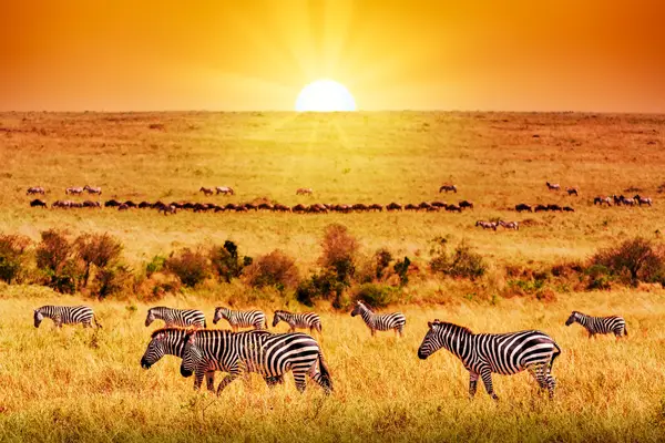 Serengeti National Park