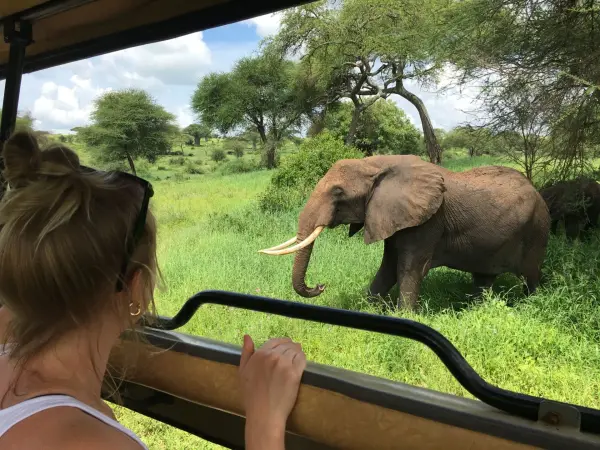 Tarangire National Park