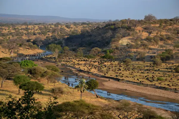 Tarangire National Park