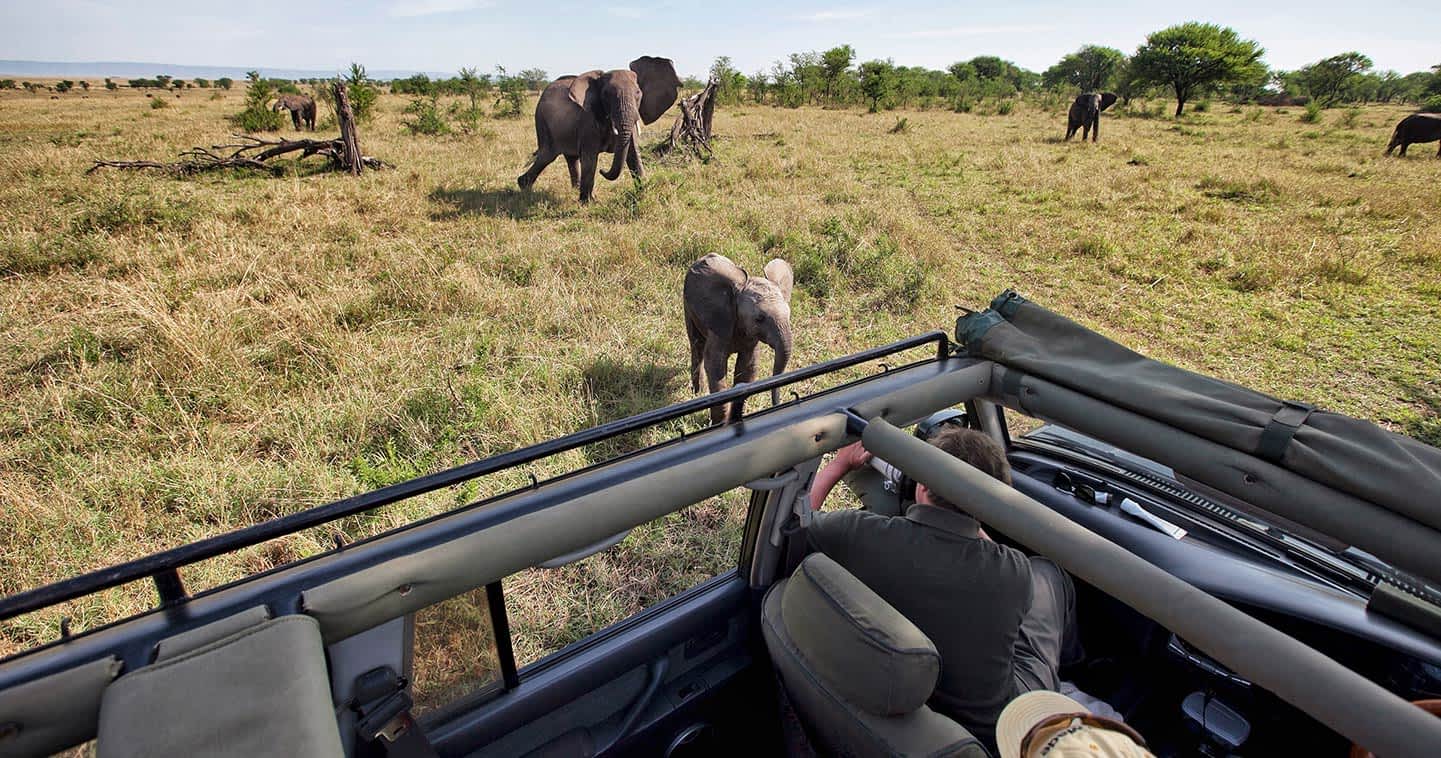 10-Day Serengeti Safari & Zanzibar from Dubai