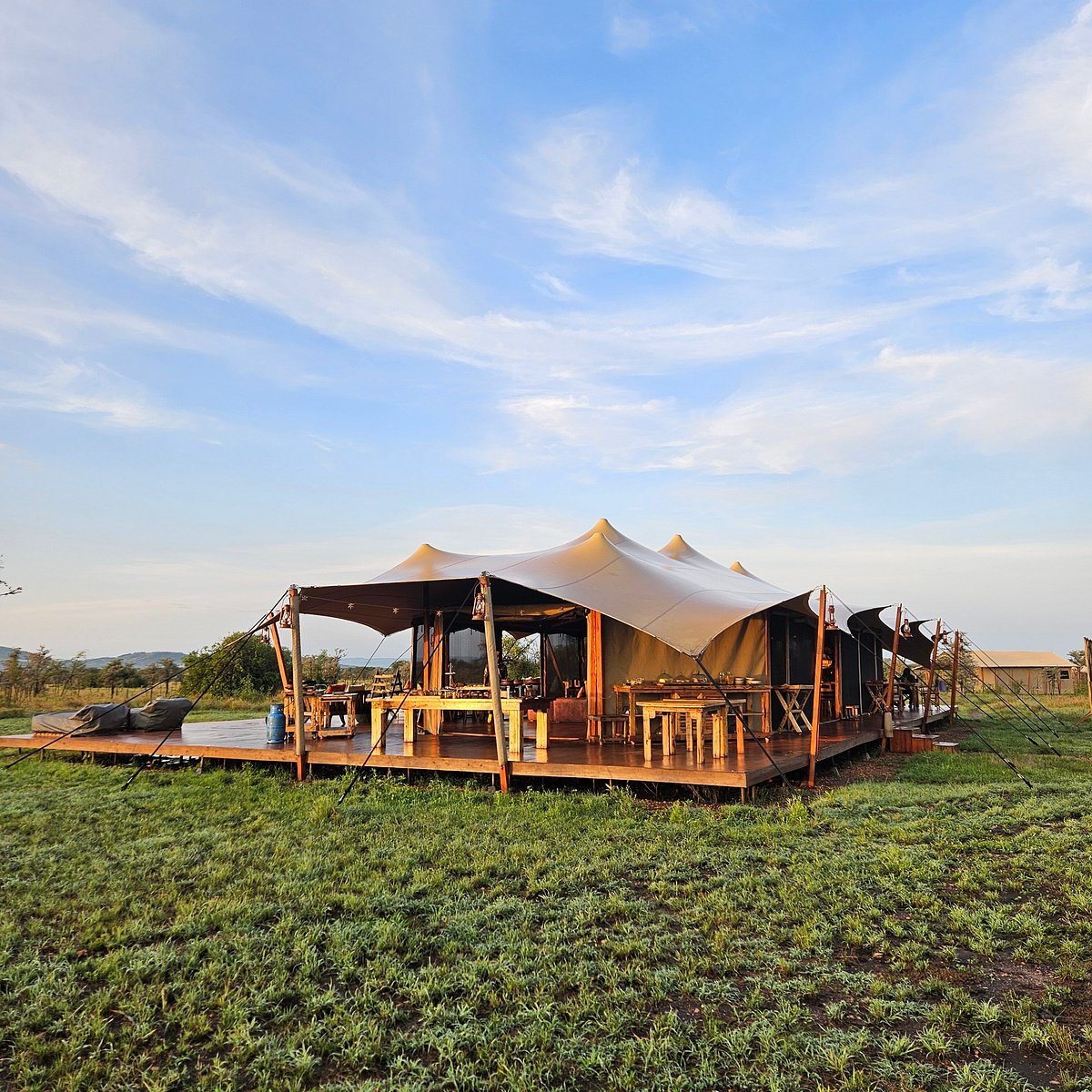 Mid-Luxury safari accommodation