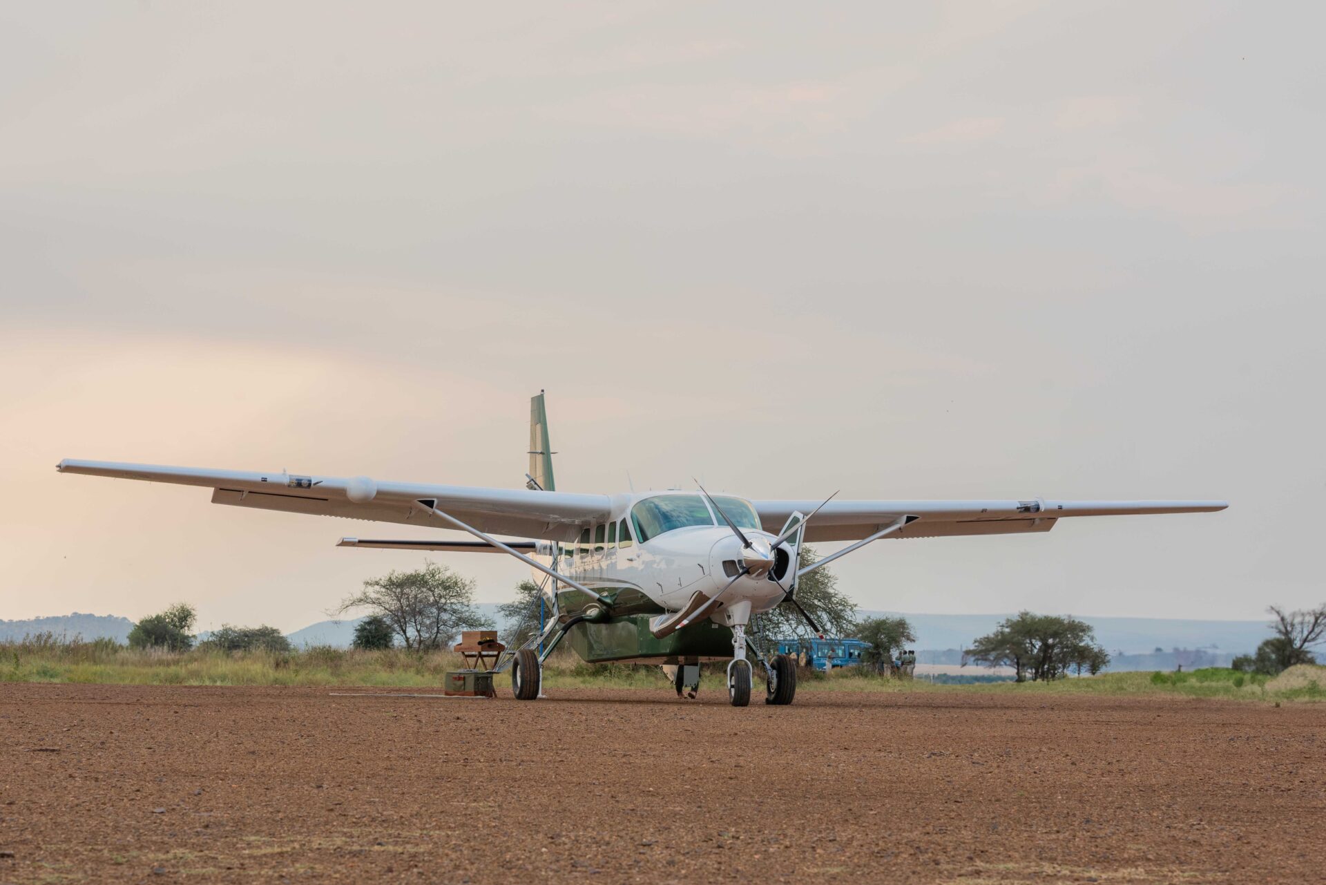 Fly-In Safaris