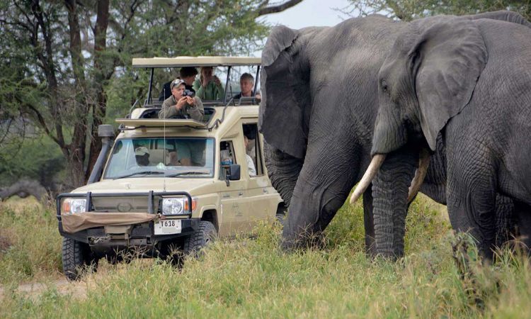 First Time Tanzania Safaris