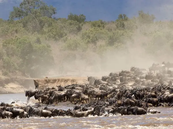 Serengeti National Park
