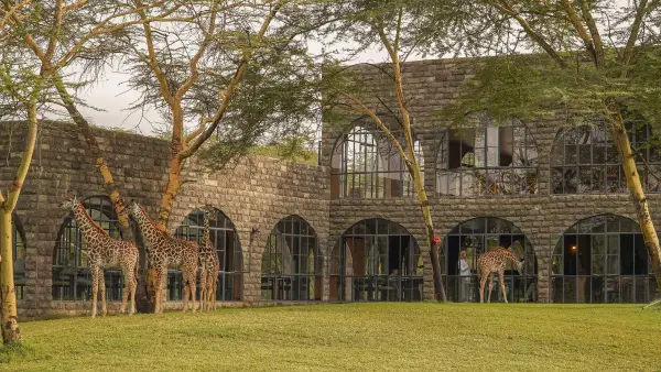 Giraffe Manor Tanzania