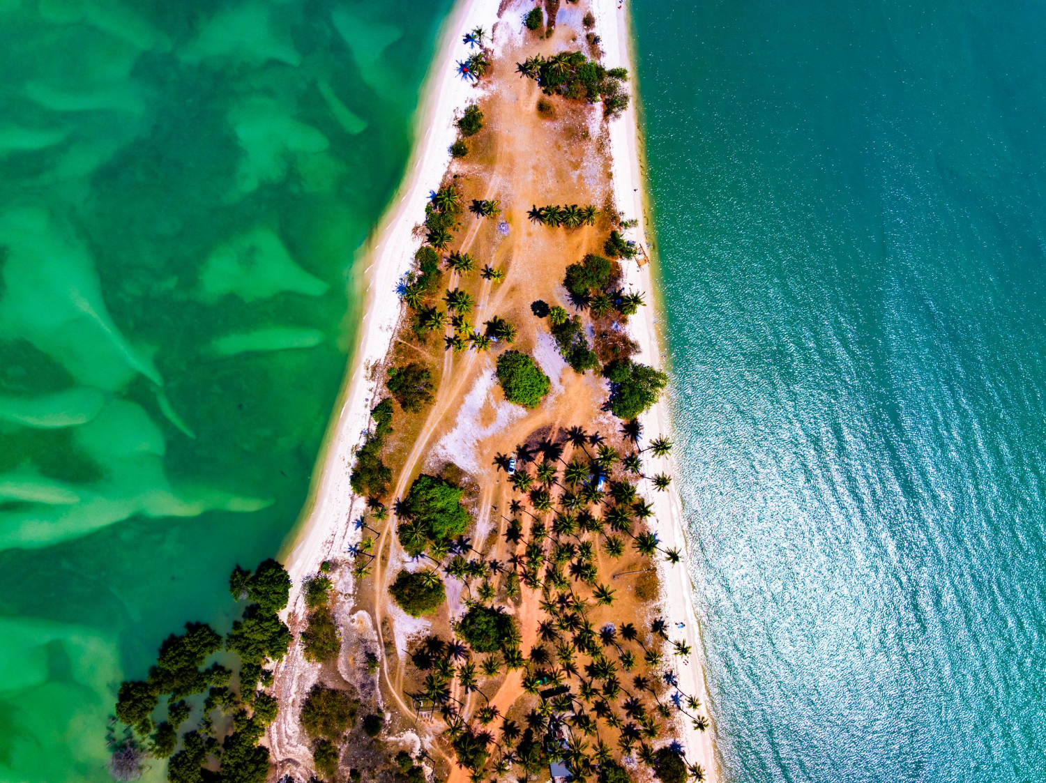Zanzibar