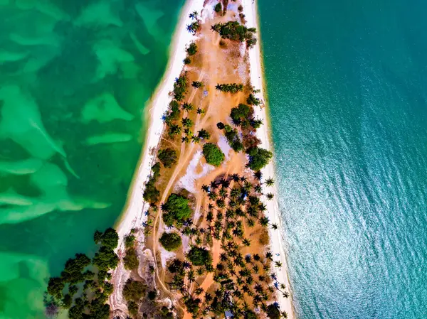Mafia Island