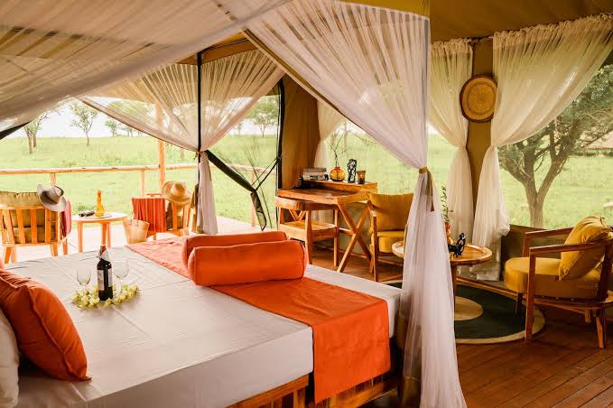 Essential safari accommodation