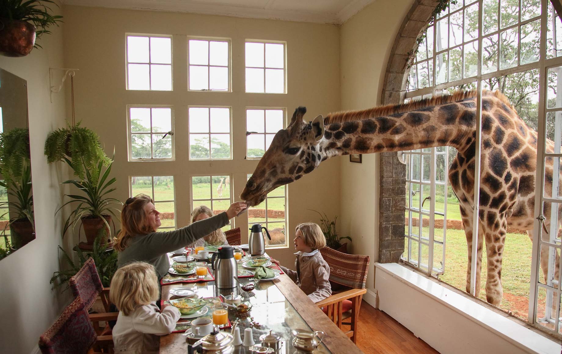12-Day Luxury Tanzania Safari & Zanzibar from Dubai