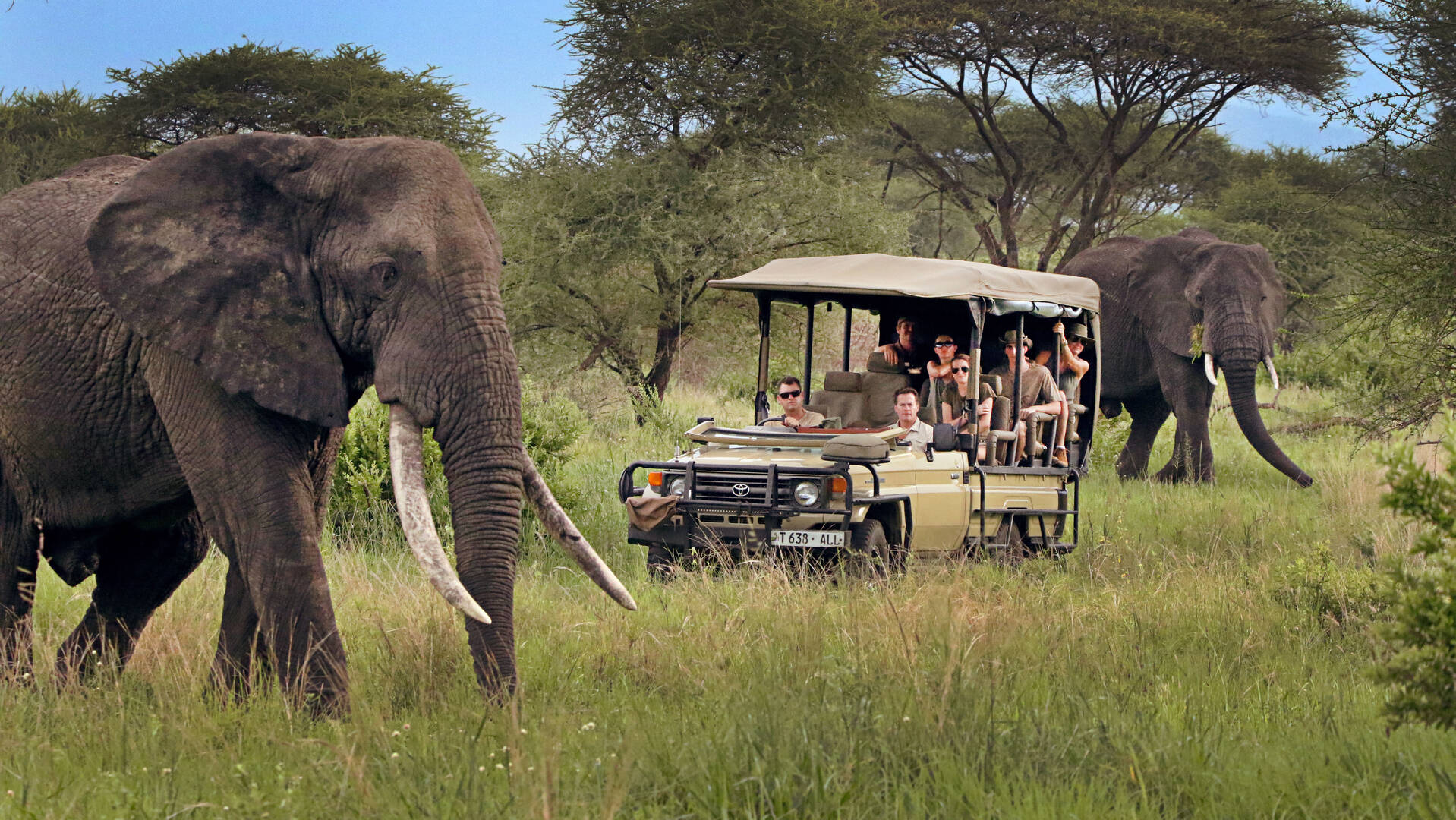 1-Day Mikumi National Park Safari