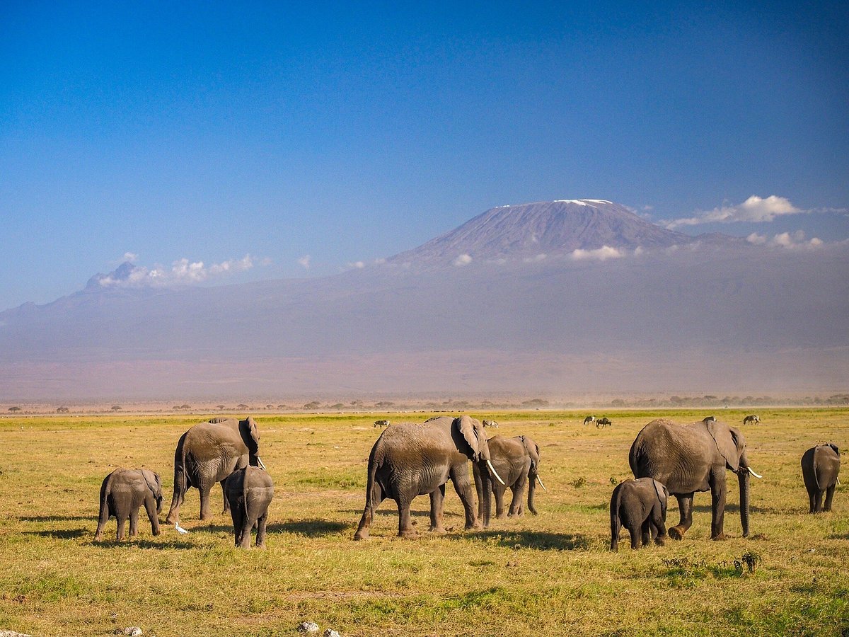 Kenya, Tanzania & Zanzibar Safari – 10 Days