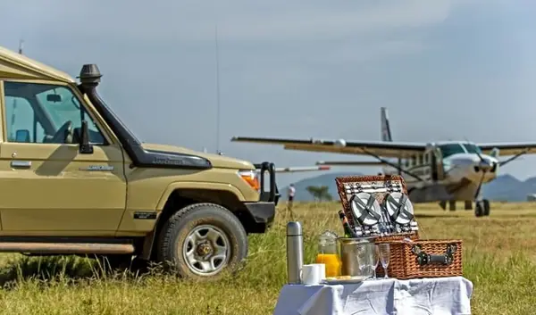 4 Days Fly-in Serengeti Safari