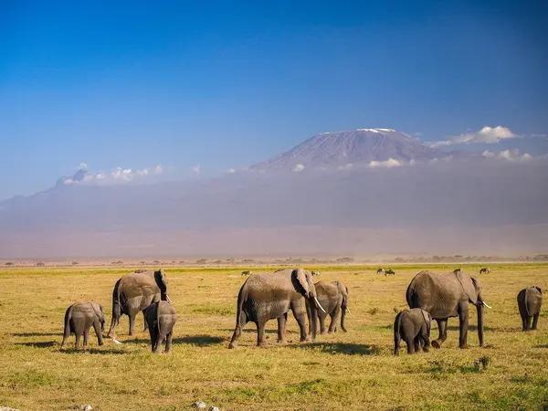 Kenya, Tanzania & Zanzibar Safari – 10 Days